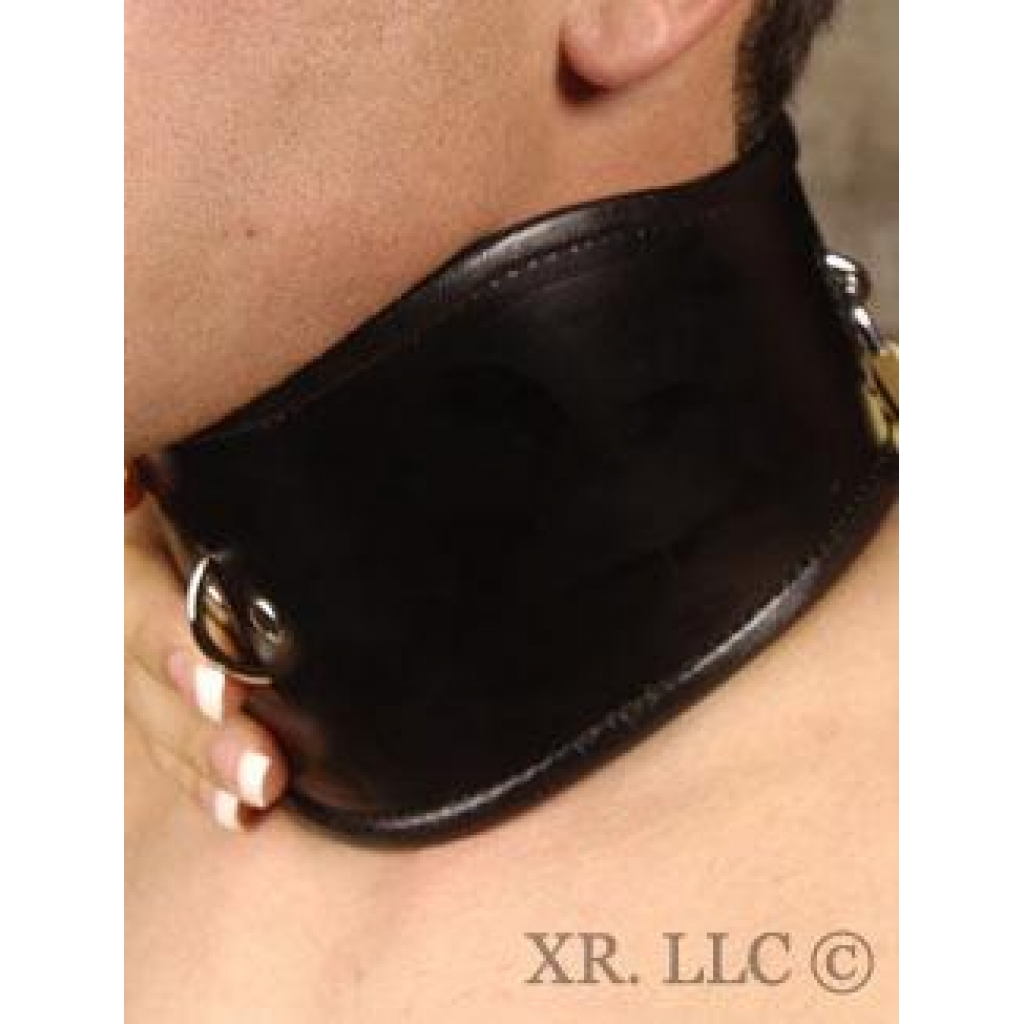 Padded Leather Locking Posture Collar