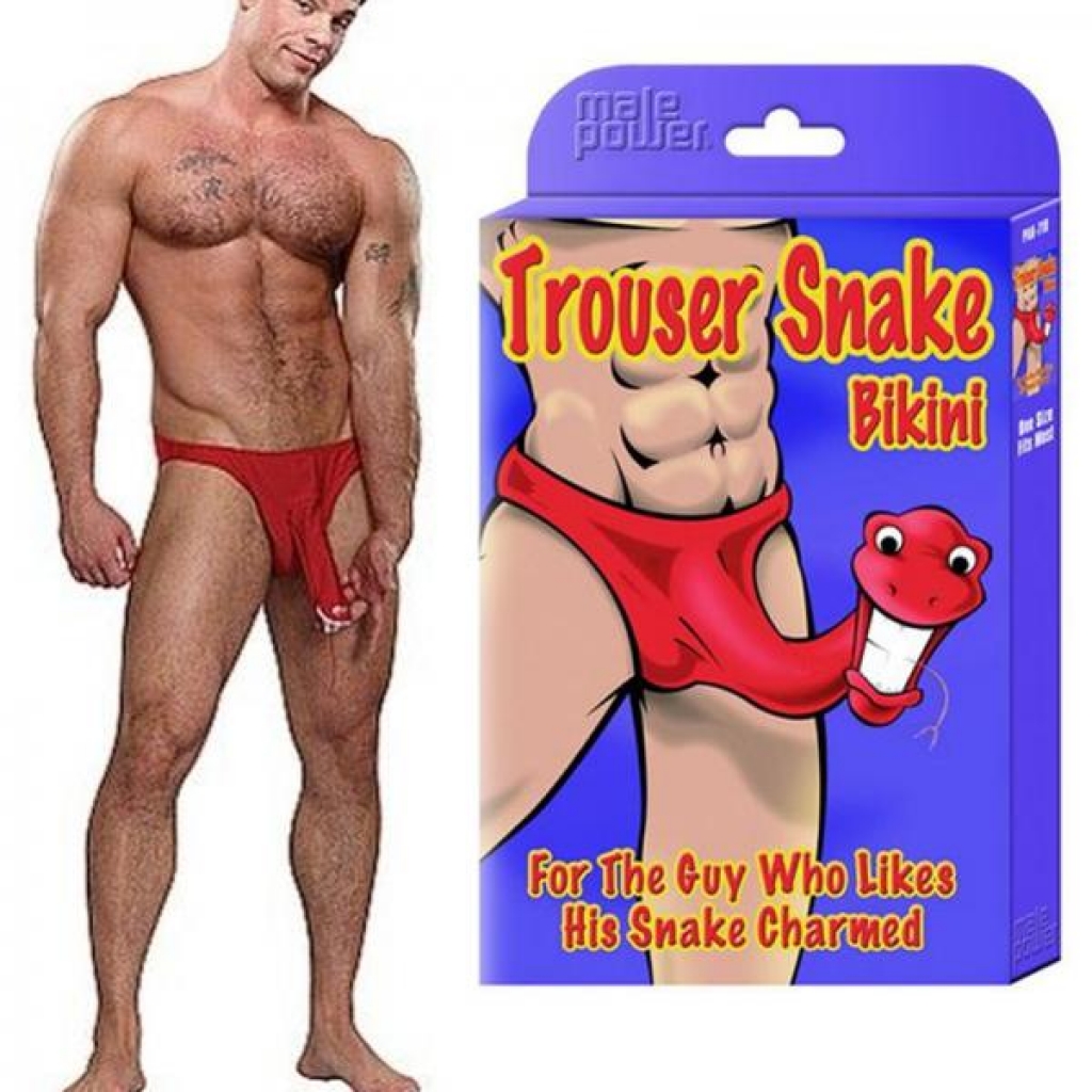 Trouser Snake Bikini - Fun and Playful Design