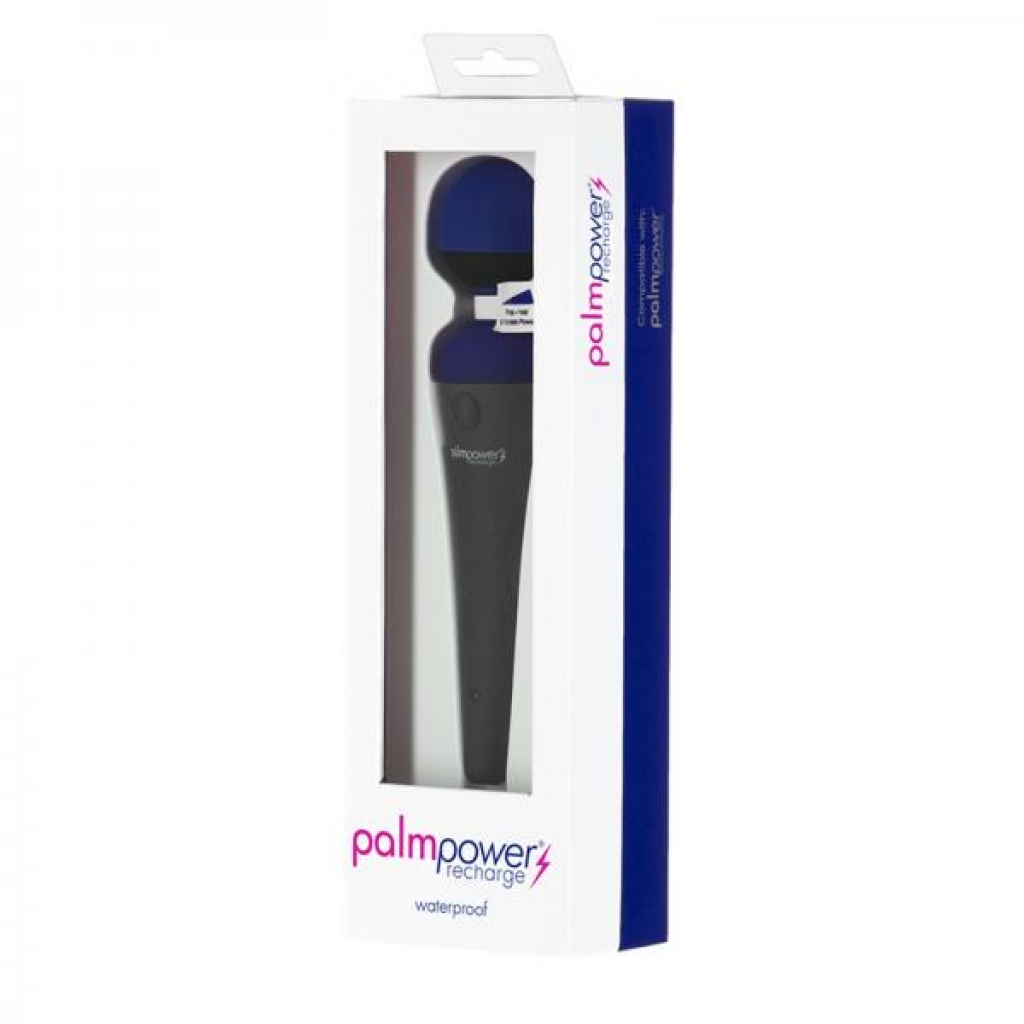 PalmPower Massager USB Rechargeable - Blue