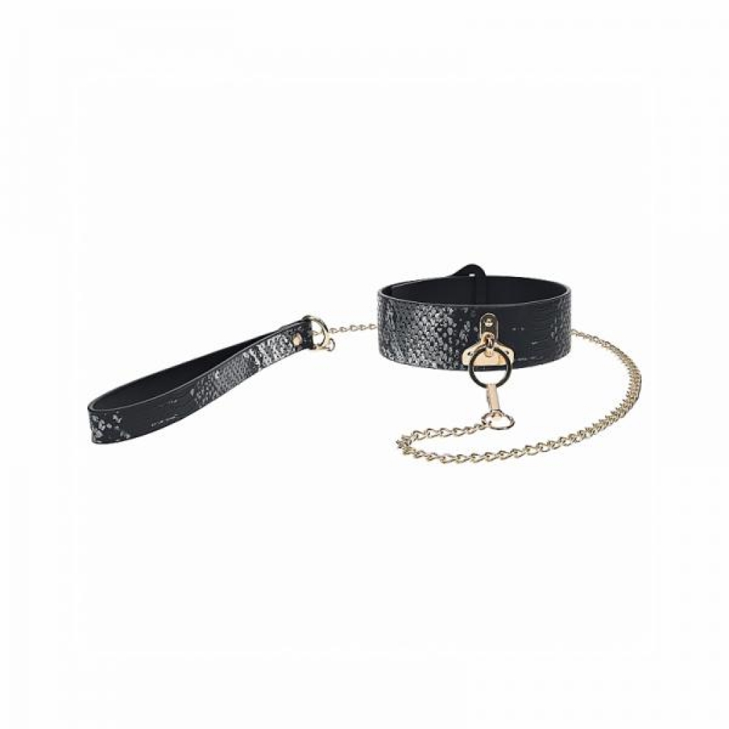 Elegant Collar with Leash from the Florence Collection