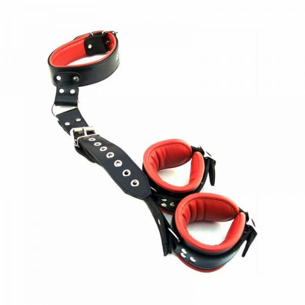 Rouge Leather Neck To Wrist Restraint Black/red