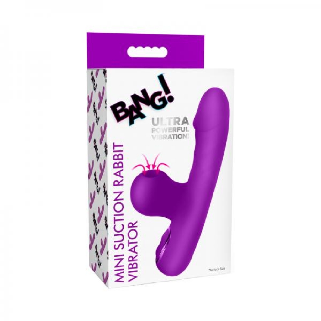 Mini Suction Rabbit Vibrator - Purple Bliss